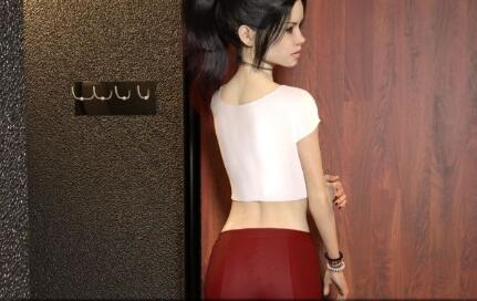 中年危机(Mid Life Crisis) V1.5 精翻中文汉化版 PC+安卓+全CG-柠檬ACG