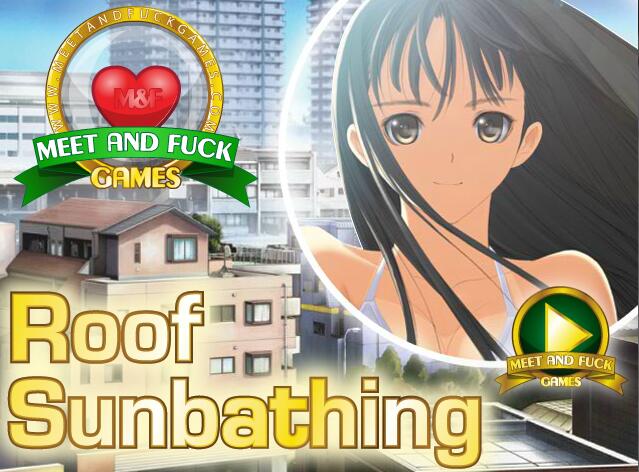 Flash 小游戏100 IN 1 全是英文限制版 附带FLASH播放器-柠檬ACG