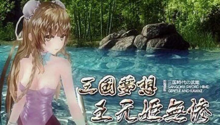 三国梦想：王元姫無惨 官方中文版 同人ARPG游戏 补 3.8G-柠檬ACG
