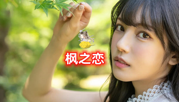 枫之恋 ver1.0 官方中文版 PC+安卓 SLG游戏&新作 2.1G-柠檬ACG