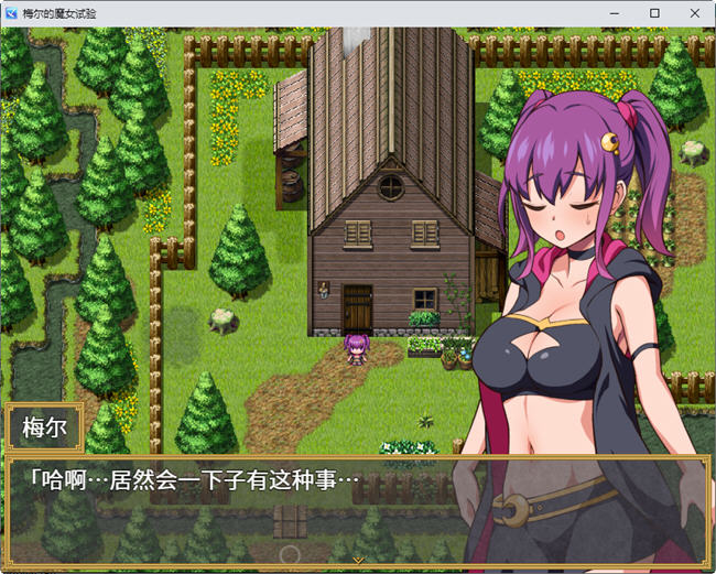 图片[4]-梅尔的魔女试验 官方中文版整合所有DLC PC+安卓 RPG游戏 950M-柠檬ACG