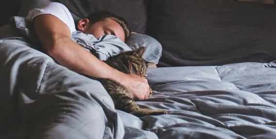 灵丹妙药(Elixir of Life) ver0.11 浏览器汉化版 HTML游戏 1.5G【PC端】-柠檬ACG