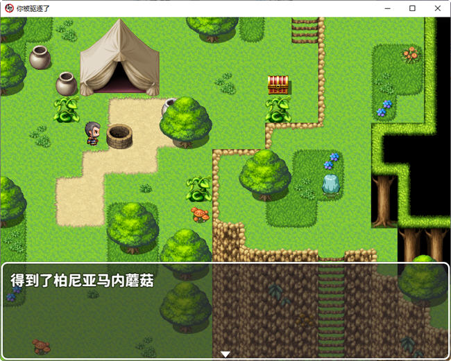 图片[2]-你被驱逐了 官方中文作弊版 PC+安卓 RPG游戏 1.2G-柠檬ACG