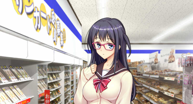 少女便利店Z:全店铺统合版 AI精翻汉化版+全DLC 模拟经营游戏 3G-柠檬ACG