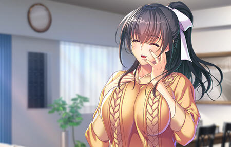 她是怎么怀上的？ AI汉化版 ADV游戏+全CG存档+DLC+特典 5.5G-柠檬ACG