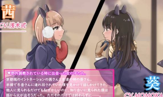 图片[2]-【ADV/机翻/】大小姐的戏言 v1.00【新作/CV】PC-柠檬ACG