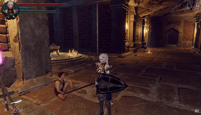 图片[2]-地下城的女骑士 DL官方中文解码版 3D动作冒险游戏 1.9G-柠檬ACG